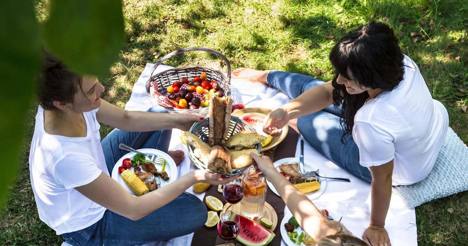 Summer picnic with friends in nature with food and 2023 11 27 05 22 51 utc
